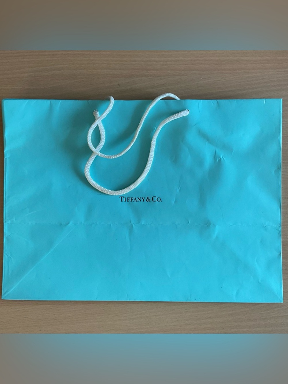 Tiffany & Co. Robin's Egg Blue Shopping Bag with White Rope Handles